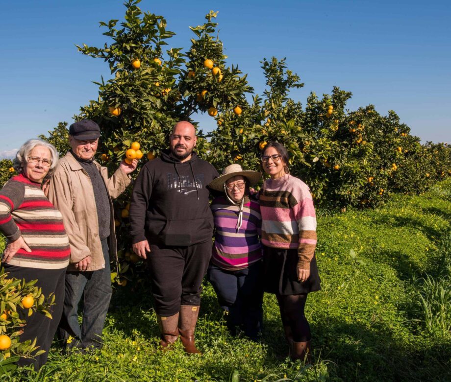arance-lorenza-campagna-catania-sicilia-1