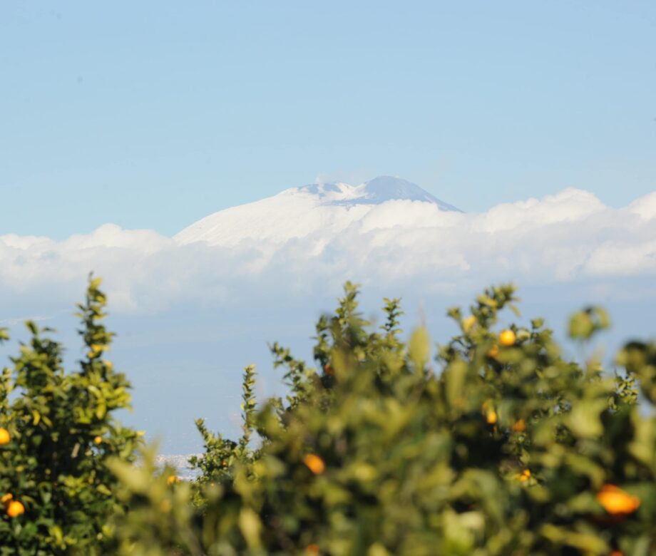 arance-lorenza-campagna-catania-sicilia-21
